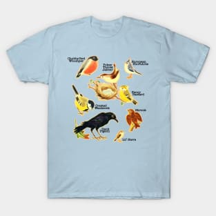 Funny Birds Of The World Names T-Shirt